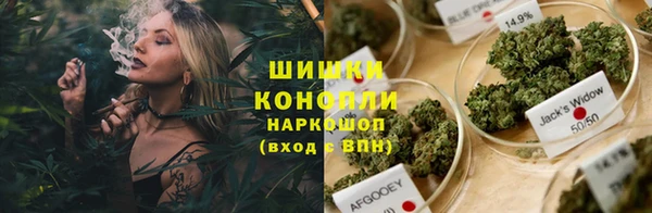 СК Куйбышев