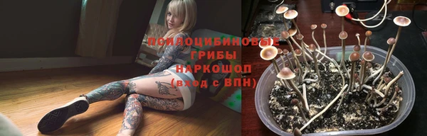 СК Куйбышев