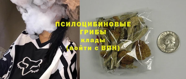 сатива Кукмор