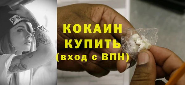 сатива Кукмор