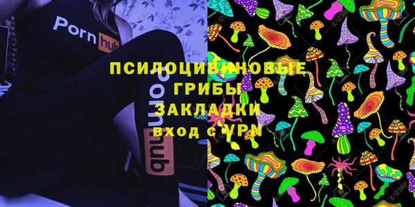 сатива Кукмор
