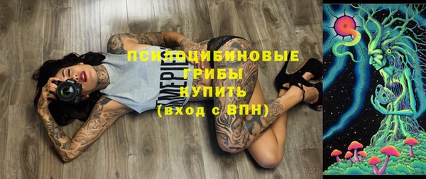 Альфа ПВП Кулебаки