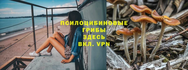 СК Куйбышев