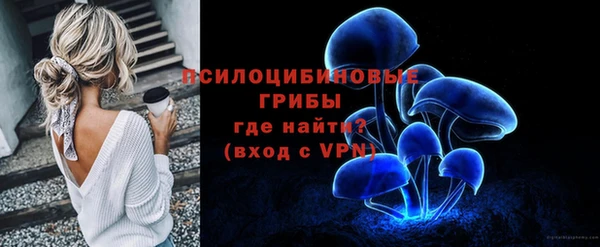 сатива Кукмор