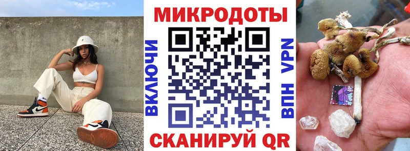 Псилоцибиновые грибы Magic Shrooms  Купить закладки  Пестово 